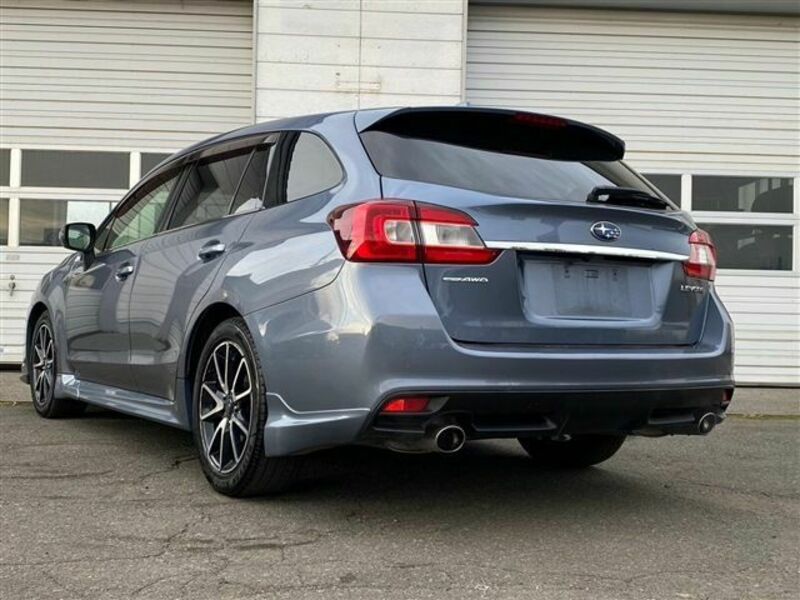 LEVORG