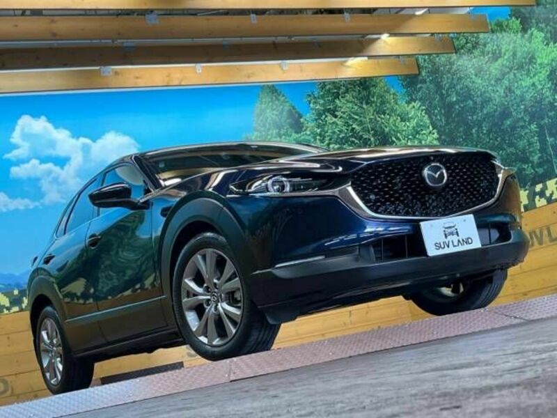 CX-30