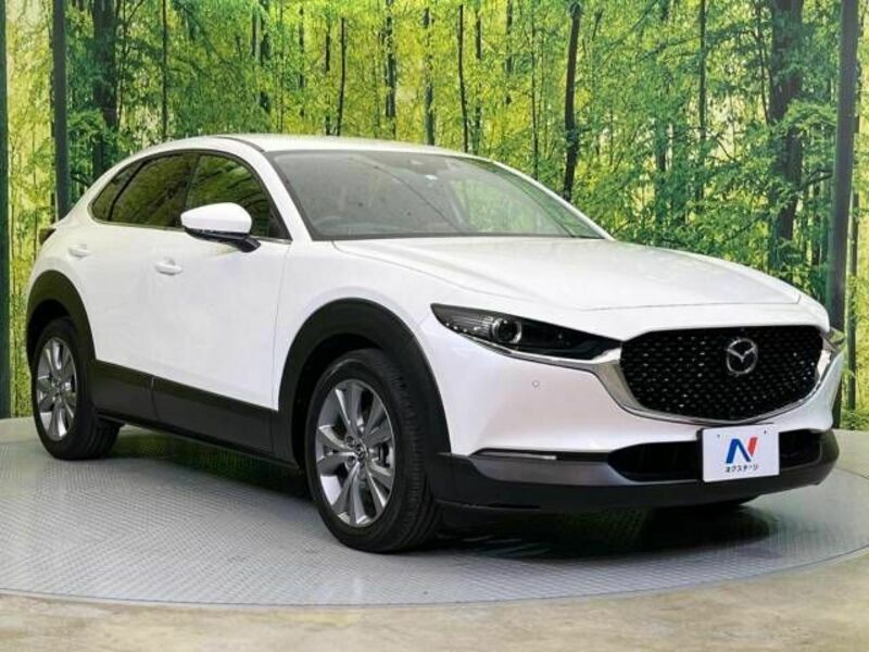 CX-30