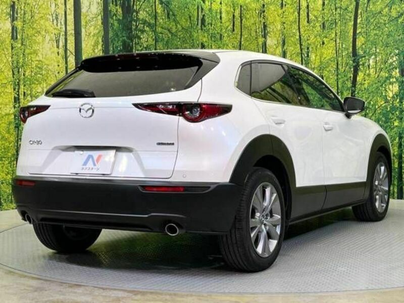 CX-30