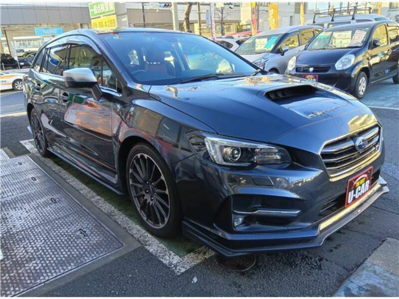 LEVORG