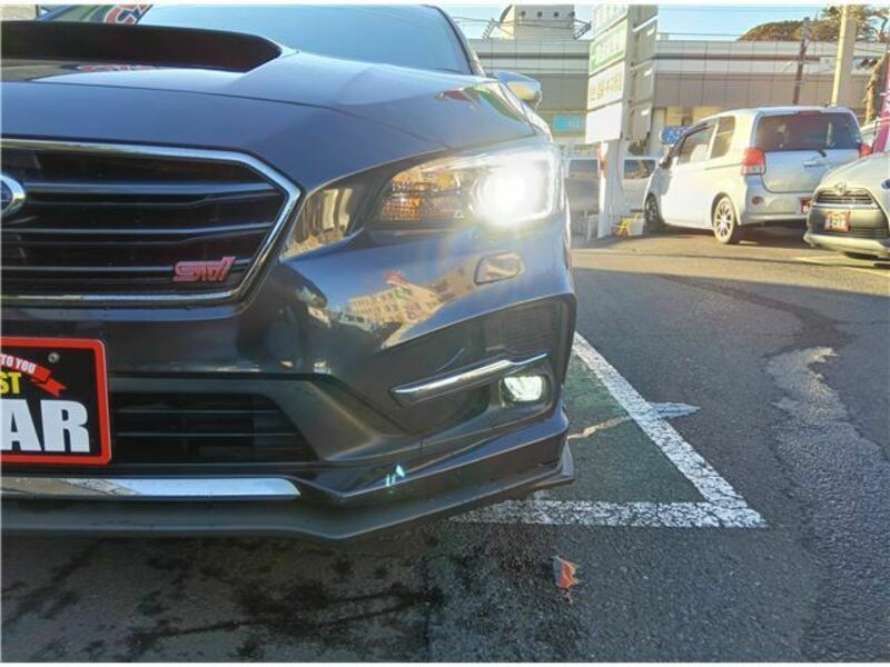 LEVORG