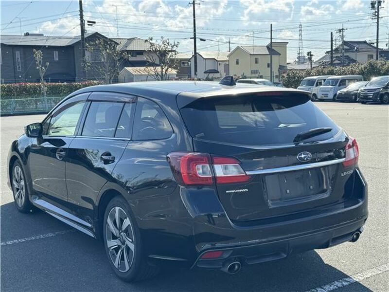 LEVORG