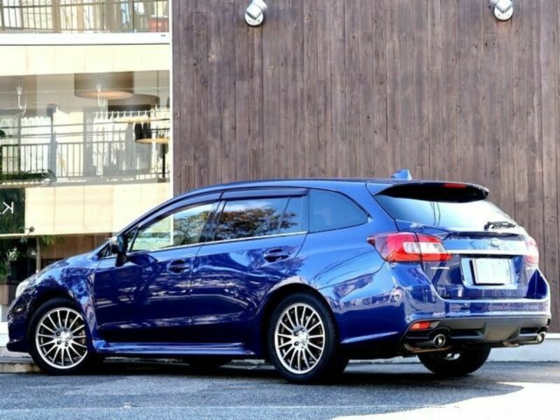 LEVORG