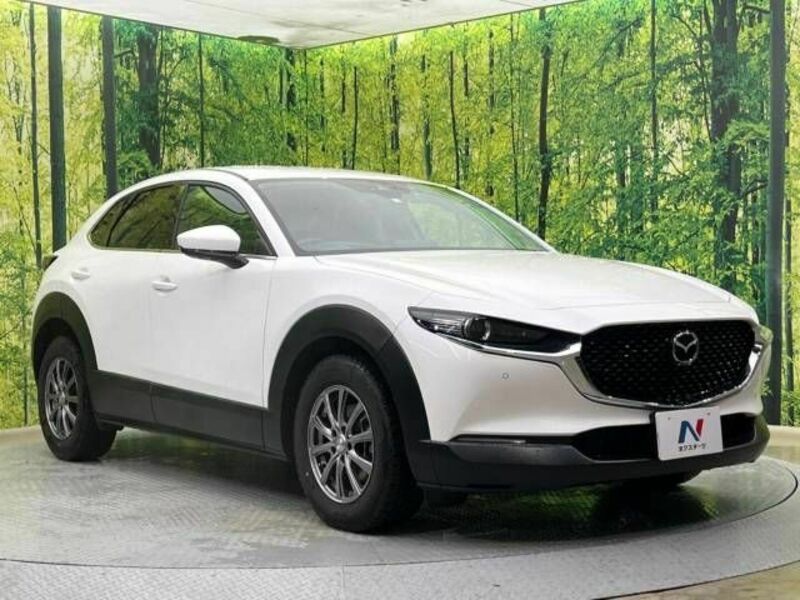 CX-30