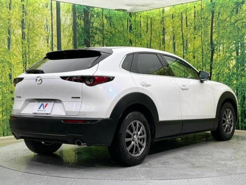 CX-30