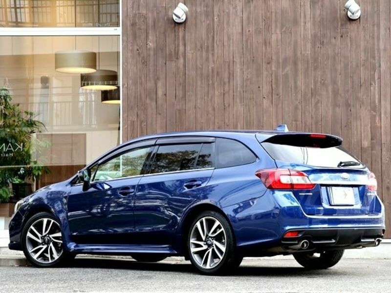 LEVORG