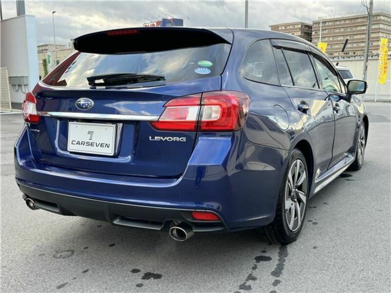 LEVORG