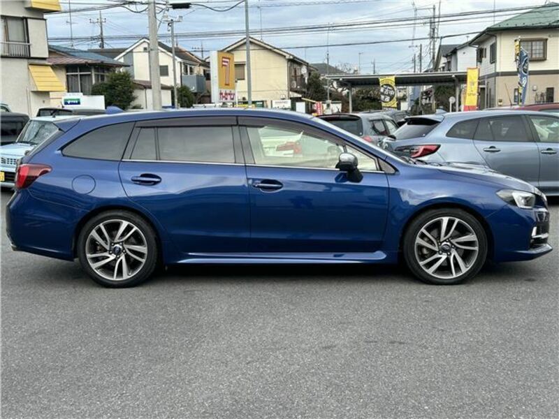 LEVORG