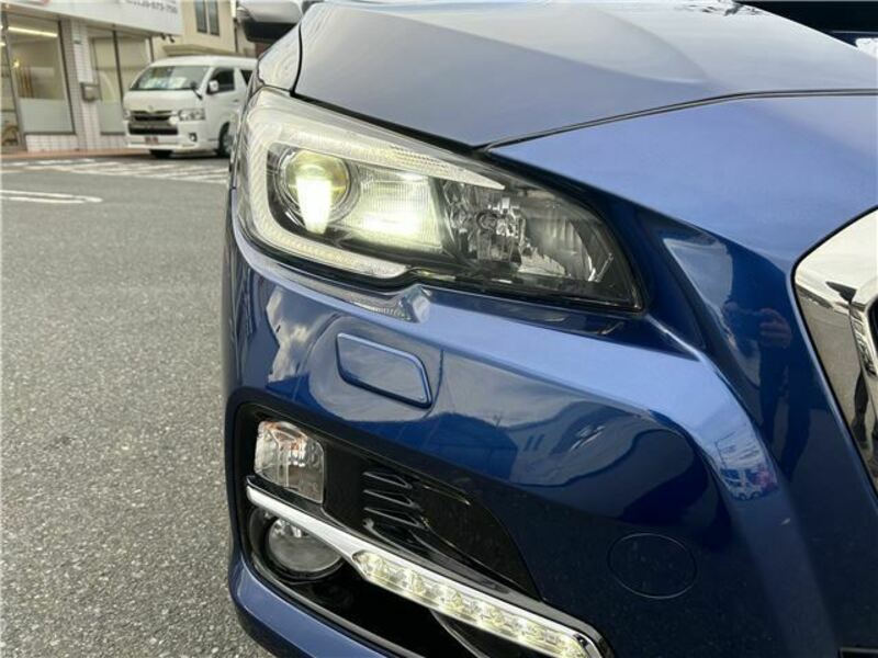 LEVORG