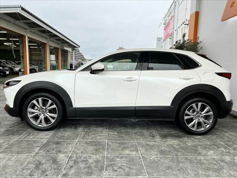 CX-30