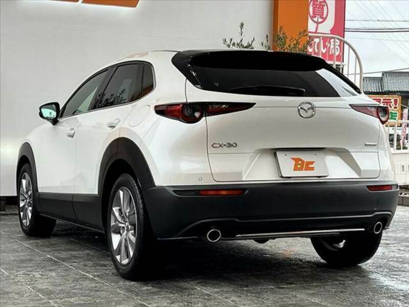 CX-30