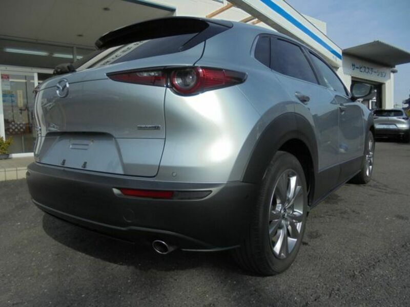 CX-30