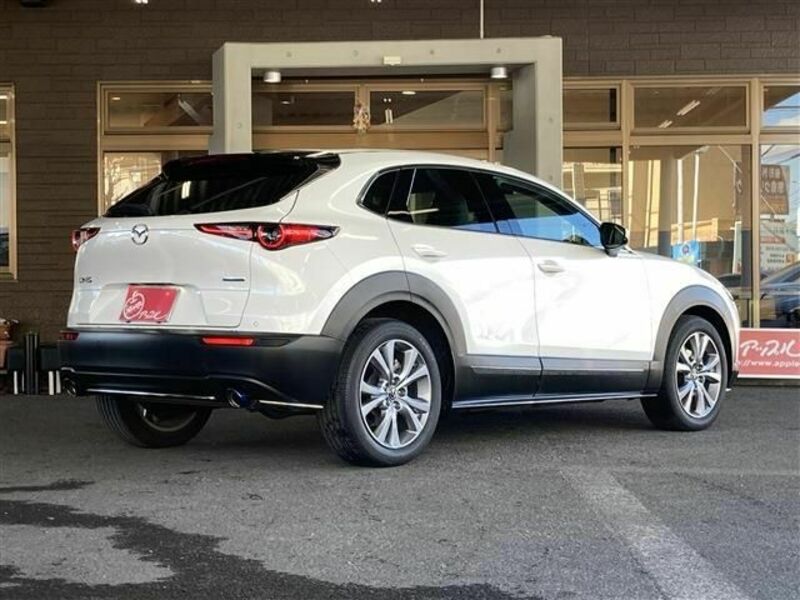 CX-30