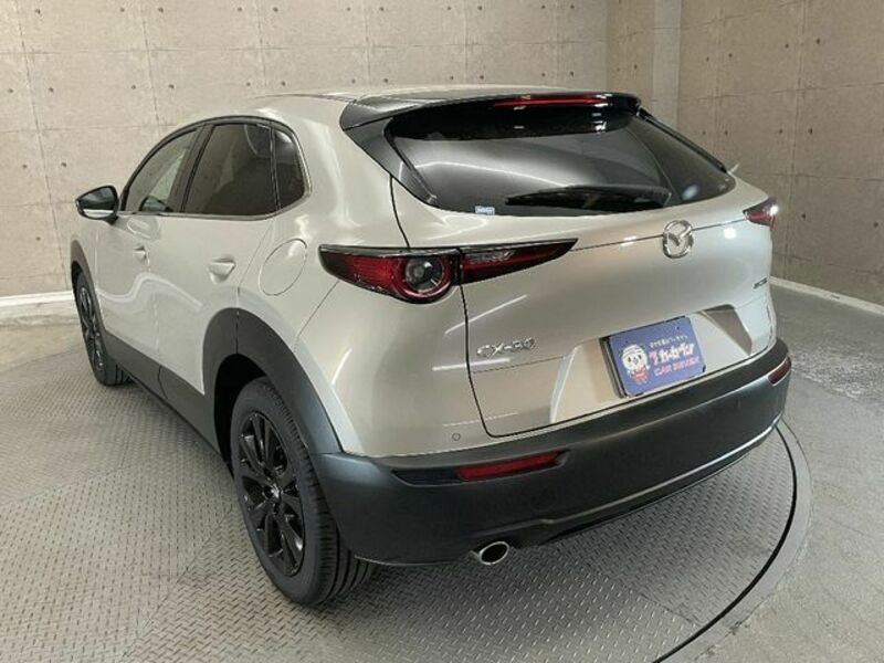 CX-30