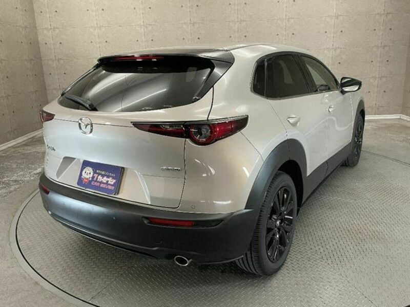 CX-30