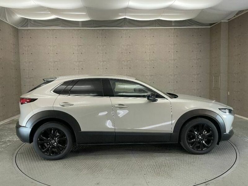 CX-30