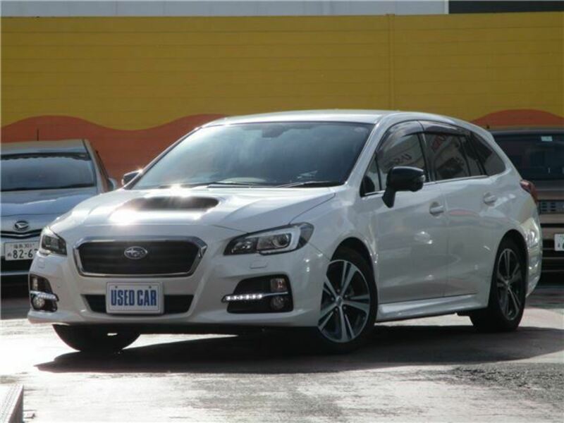 LEVORG-0