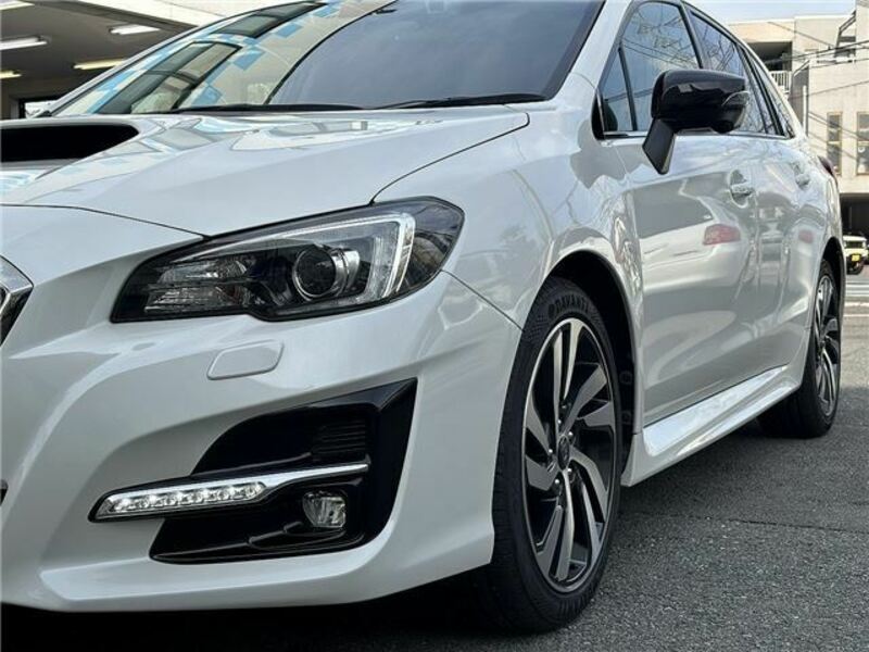 LEVORG