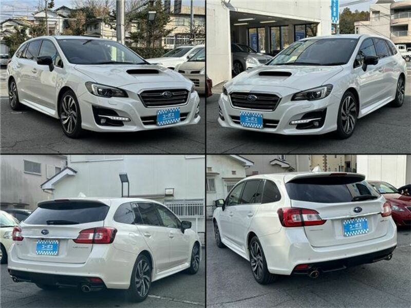 LEVORG