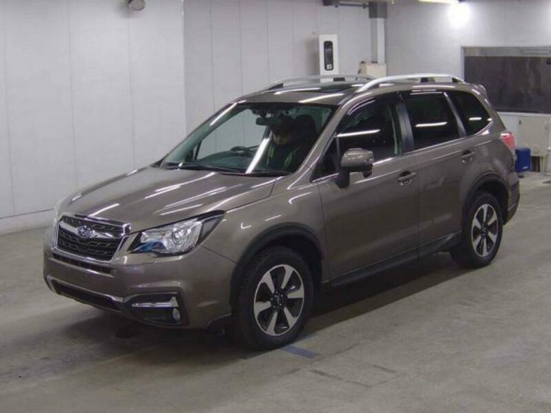 FORESTER