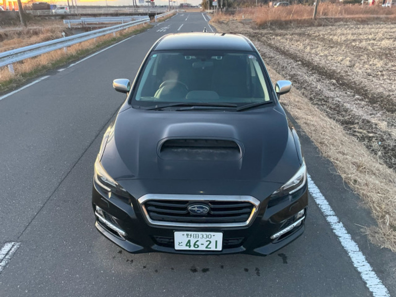 LEVORG