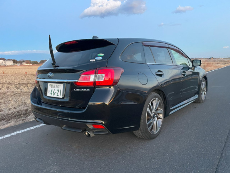 LEVORG