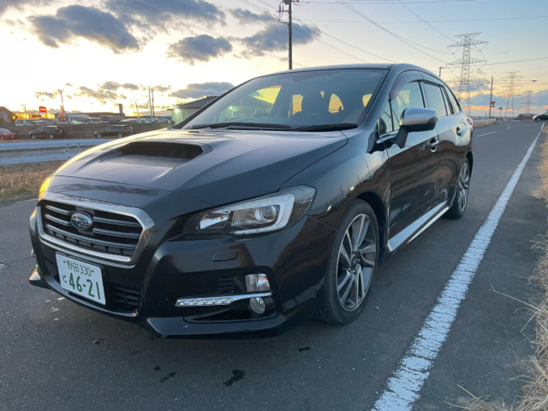 LEVORG