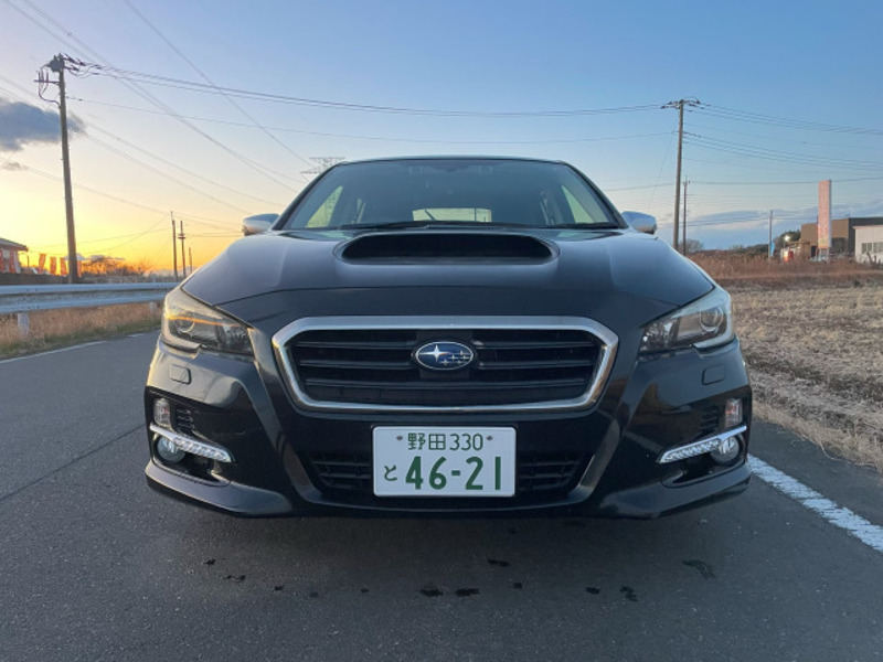 LEVORG