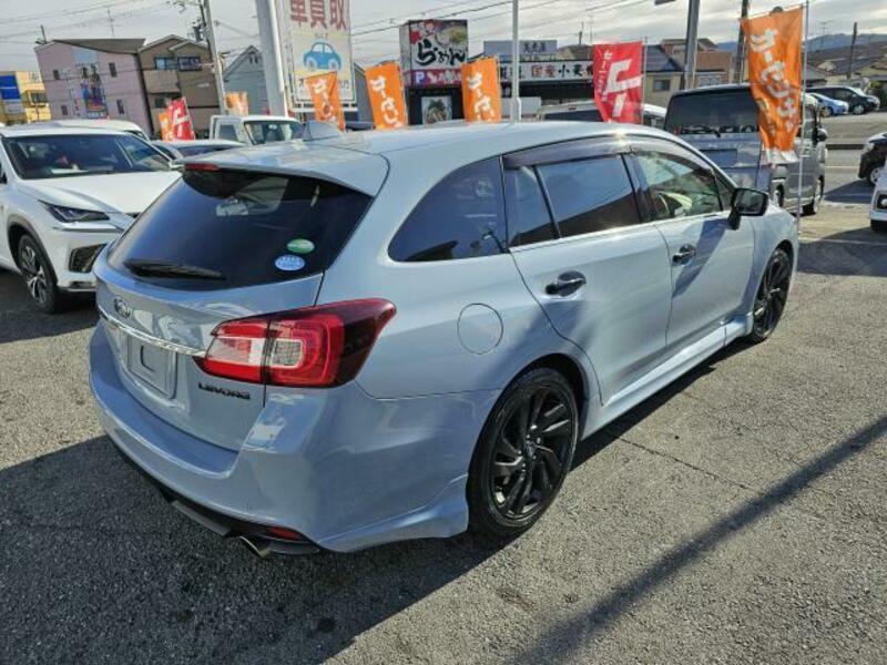 LEVORG