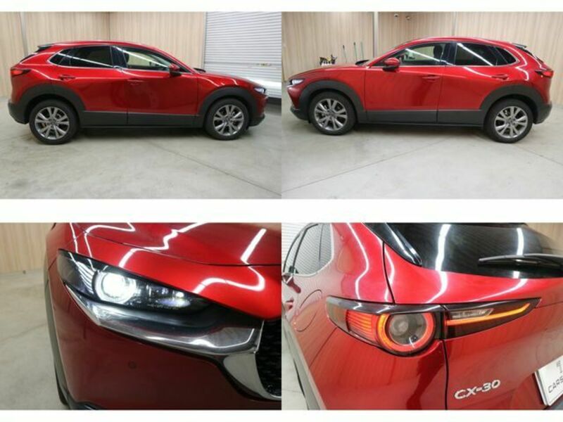 CX-30