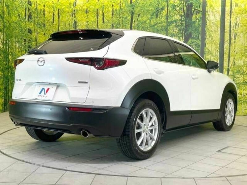 CX-30