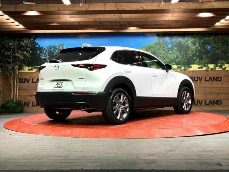 CX-30