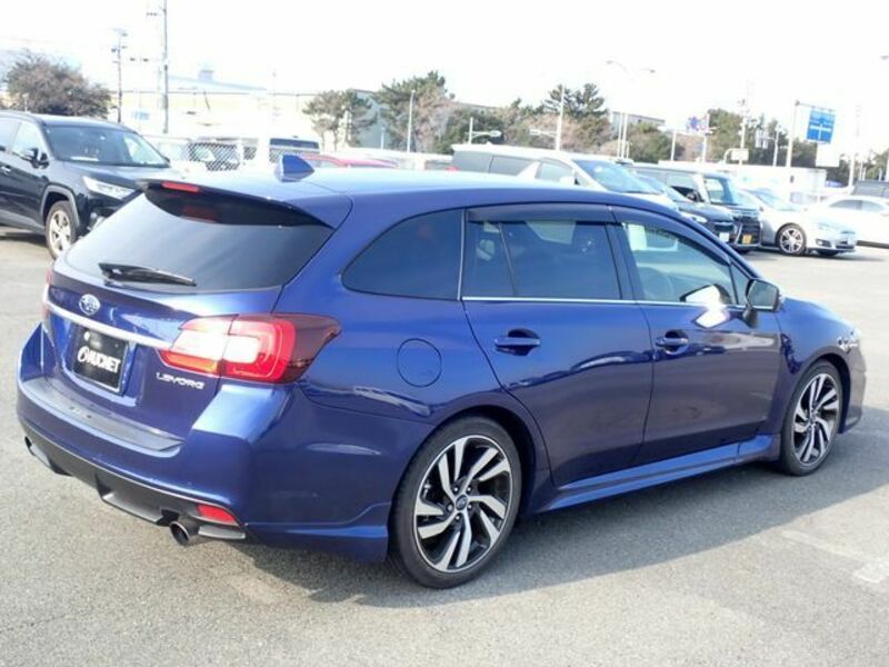 LEVORG