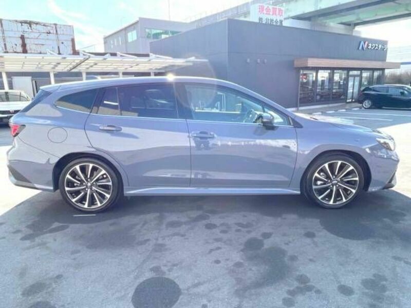 LEVORG