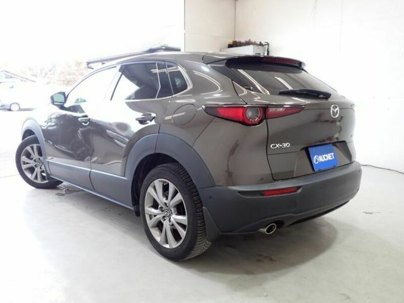 CX-30