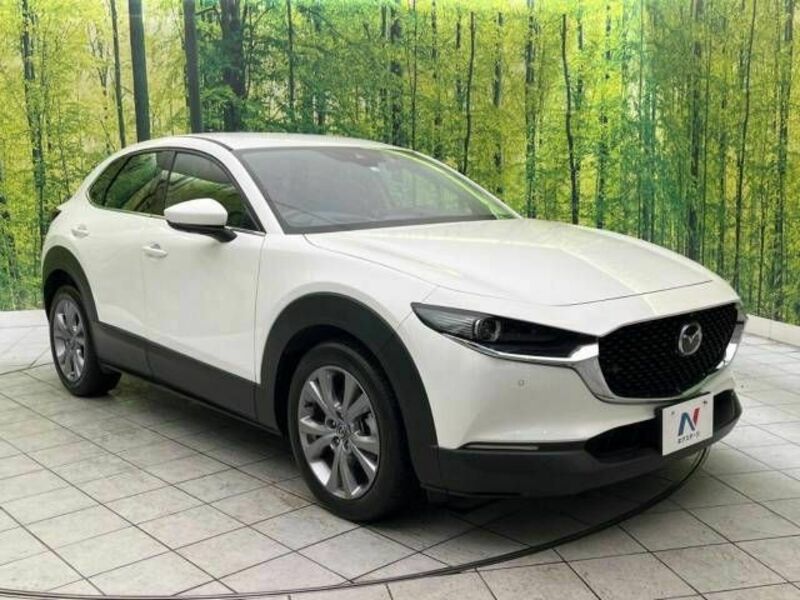 CX-30