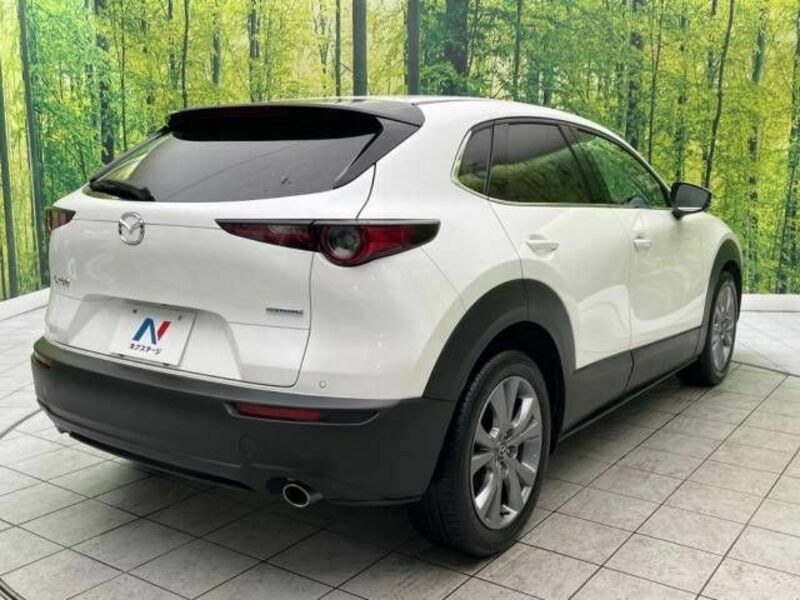 CX-30