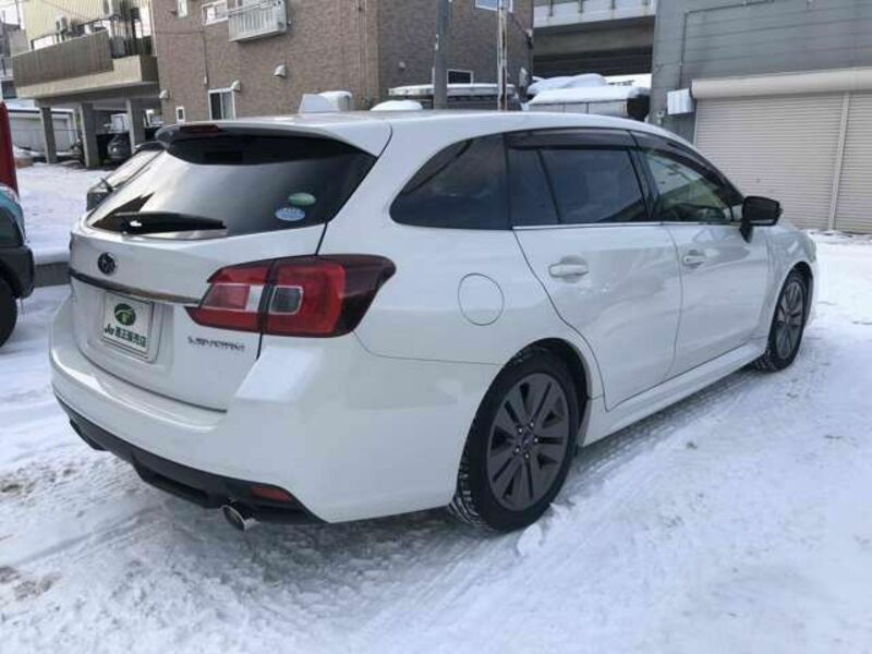 LEVORG