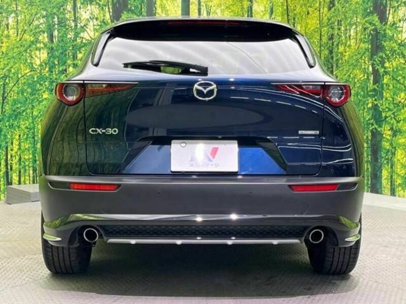 CX-30