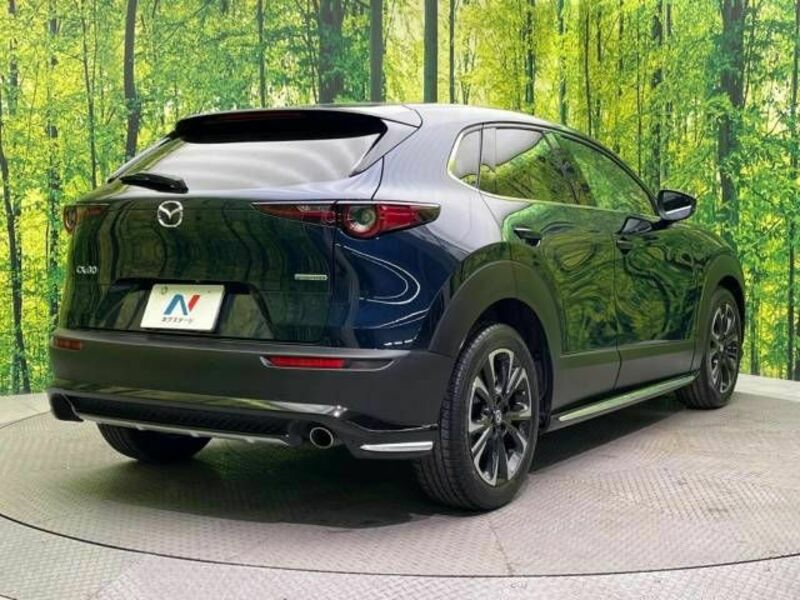 CX-30