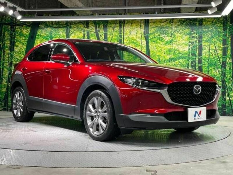 CX-30