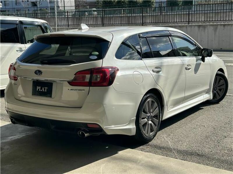 LEVORG