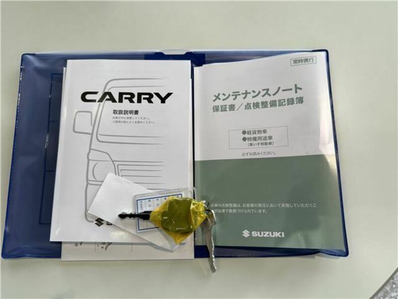 CARRY TRUCK