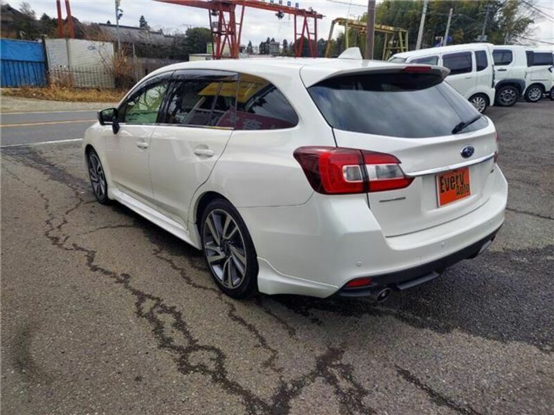 LEVORG