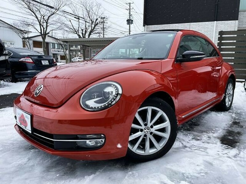 VOLKSWAGEN THE BEETLE