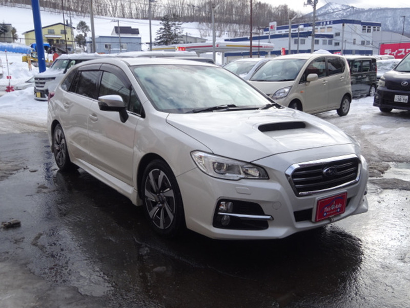 LEVORG