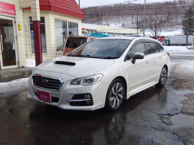 LEVORG