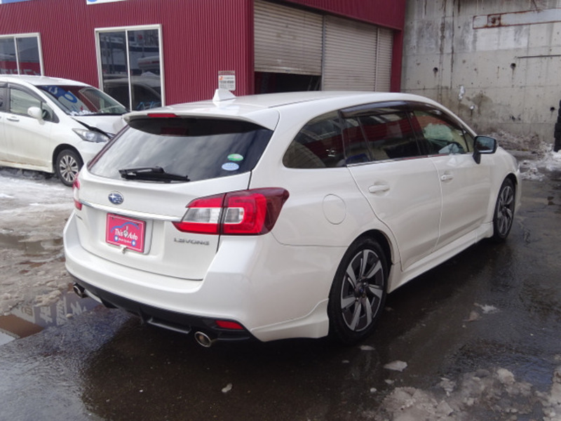 LEVORG