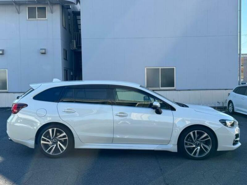 LEVORG